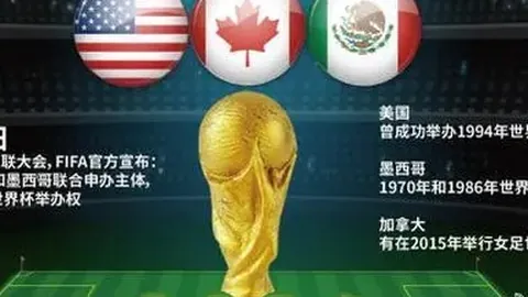 NBA生存法则：非顶级球员的双向合同传奇——以“狂犬”式防守铺就成功之路